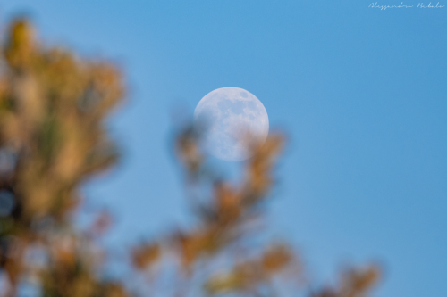 DSCF7940-1